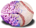baseball brain
