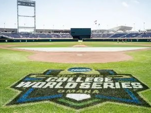 CWS-field25